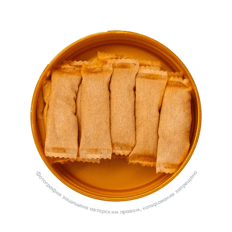 Снюс Kasta Classic Bubble Gum, 101 мг/г — купить по низкой цене с доставкой. Заказать Kasta Classic Bubble Gum, 101 мг/г в интернет-магазине Nicotinka